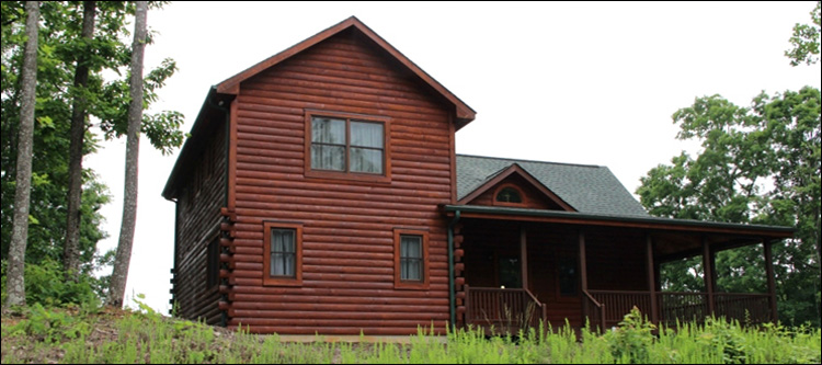 Professional Log Home Borate Application  Dhs, Virginia