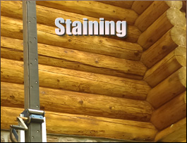 Fairfax County, Virginia Log Home Staining